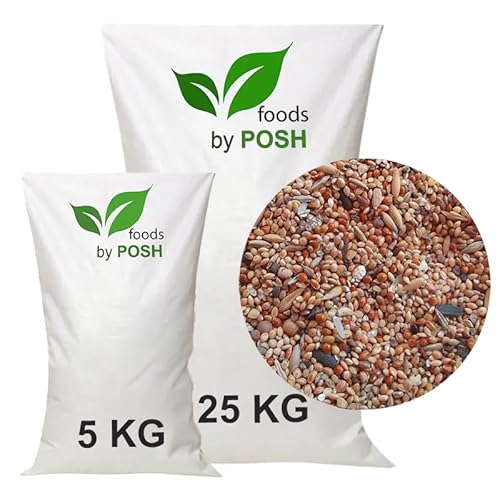 30 KG Vogelfutter SUPER Preis Streufutter Vogelfuttermischung 4 Jahreszeiten TOP (30 KG) von DTP-SOFT