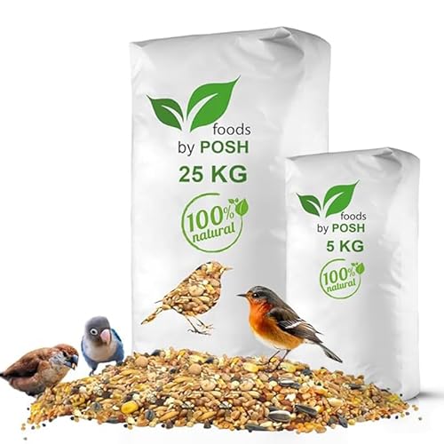 30kg Streufutter Vogelfutter Wildvogelfutter 4 Jahreszeiten Premium Mischung (30kg) von DTP-SOFT