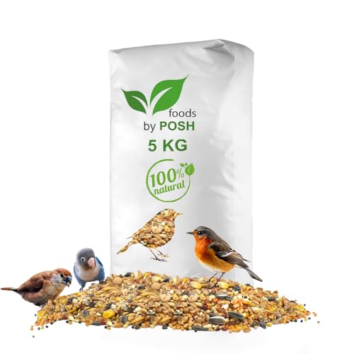 5kg Streufutter Vogelfutter Wildvogelfutter 4 Jahreszeiten Premium Mischung (5KG) von DTP-SOFT