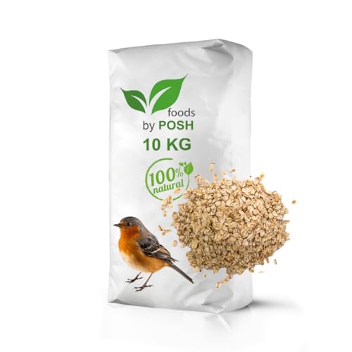 Futterhaferflocken Hafer ohne GVO Vogelfutter Nagerfutter Pferdefutter (10kg) von DTP-SOFT