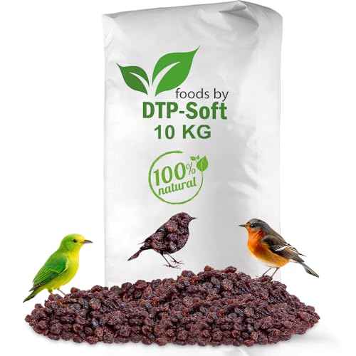 Vogelfutter | Wildvogelfutter Ganzjährig | Futterrosinen | Rosinen | Vögel | für Amseln, Gimpel, Kleiber, Grünfink | Ohne chemische Zusätze | Premium (10kg) von DTP-SOFT