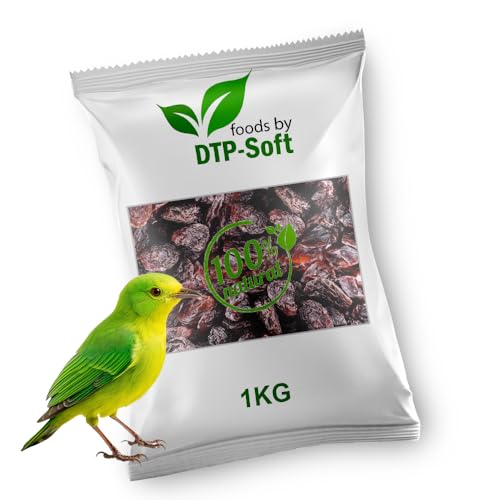 Vogelfutter | Wildvogelfutter Ganzjährig | Futterrosinen | Rosinen | Vögel | für Amseln, Gimpel, Kleiber, Grünfink | Ohne chemische Zusätze | Premium (1kg) von DTP-SOFT