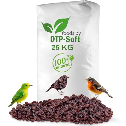 Vogelfutter | Wildvogelfutter Ganzjährig | Futterrosinen | Rosinen | Vögel | für Amseln, Gimpel, Kleiber, Grünfink | Ohne chemische Zusätze | Premium (25kg) von DTP-SOFT