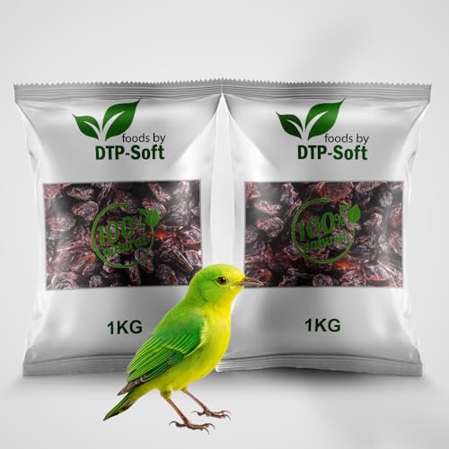 Vogelfutter | Wildvogelfutter Ganzjährig | Futterrosinen | Rosinen | Vögel | für Amseln, Gimpel, Kleiber, Grünfink | Ohne chemische Zusätze | Premium (2kg) von DTP-SOFT