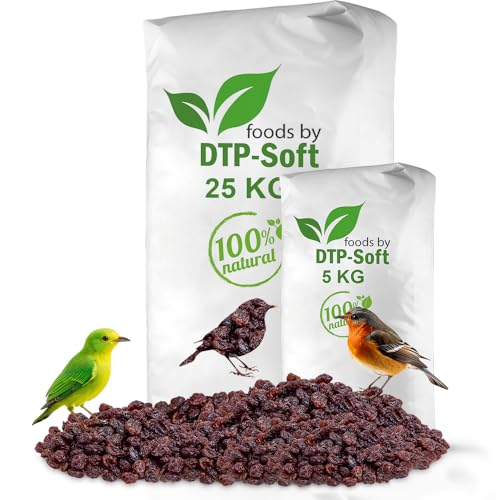 Vogelfutter | Wildvogelfutter Ganzjährig | Futterrosinen | Rosinen | Vögel | für Amseln, Gimpel, Kleiber, Grünfink | Ohne chemische Zusätze | Premium (30kg) von DTP-SOFT