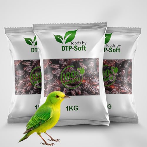 Vogelfutter | Wildvogelfutter Ganzjährig | Futterrosinen | Rosinen | Vögel | für Amseln, Gimpel, Kleiber, Grünfink | Ohne chemische Zusätze | Premium (3kg) von DTP-SOFT