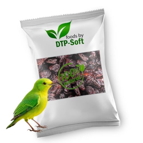 Vogelfutter | Wildvogelfutter Ganzjährig | Futterrosinen | Rosinen | Vögel | für Amseln, Gimpel, Kleiber, Grünfink | Ohne chemische Zusätze | Premium (500g) von DTP-SOFT