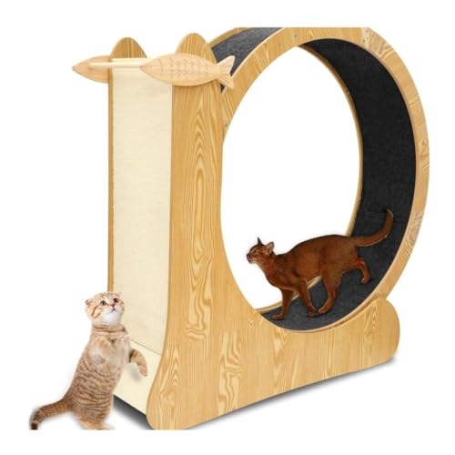 DTQBYOY Katzenlaufrad Einfache Rolle Leise Haushaltshaustier Holz Sport Laufrad Katze Klettergerüst Haustier Holz Katze Laufband Cat Wheel(A) von DTQBYOY