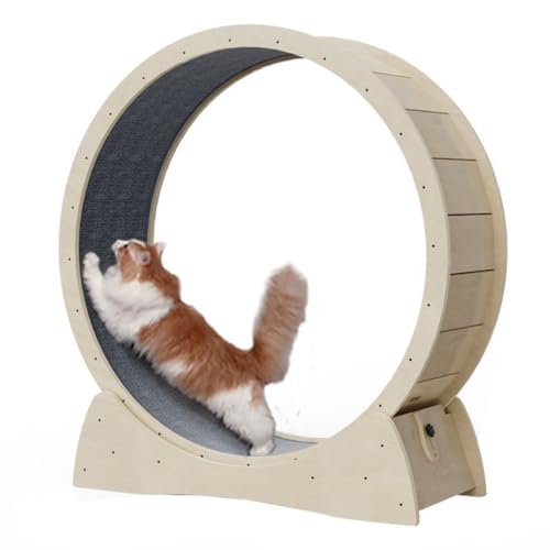 DTQBYOY Katzenlaufrad Katzenlaufband Kleine Rolle, Keine Installation, Kein Platzbedarf, Katzenklettergerüst, Katzenlaufrad Aus Massivholz Cat Wheel(A,S) von DTQBYOY