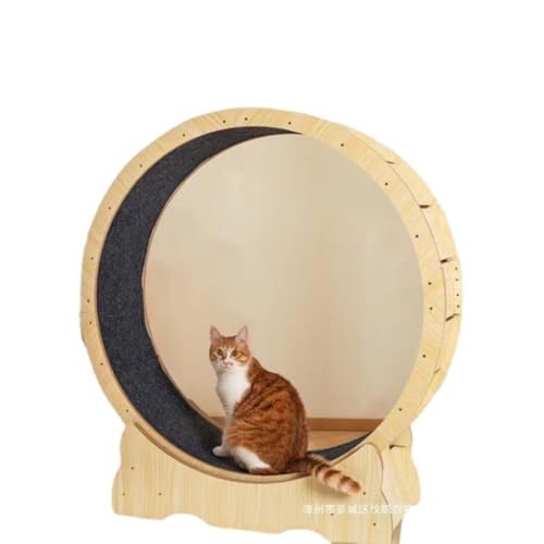 DTQBYOY Katzenlaufrad Katzenlaufrad Katzenklettergerüst Sport-Haustier-Laufband Leises Laufband Fitness-Übungsrolle Katzenrad Cat Wheel(B) von DTQBYOY