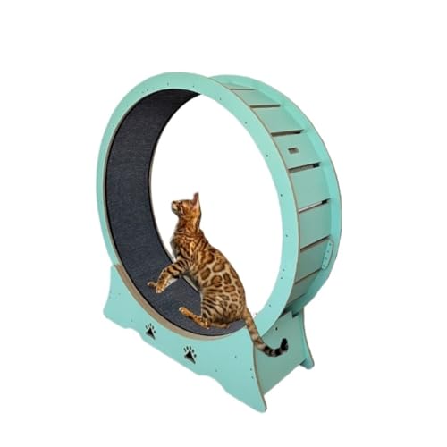 DTQBYOY Katzenlaufrad Laufband for Haustiere, Katzentraining, universelles Hochfaserbrett, geräuscharmes Rollentraining, Fitness, Klettergerüst for Katzen Cat Wheel(L(100 * 36.5 * 105cm)) von DTQBYOY