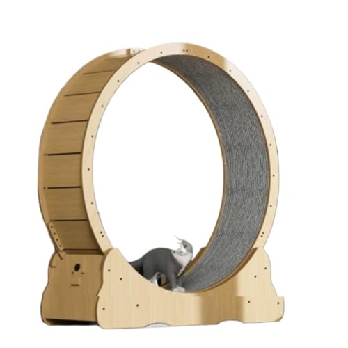 DTQBYOY Katzenlaufrad Laufband for Katzen, Haustier-Roller, Laufrad, Fitness-Sport, großes Katzen-Klettergerüst, Roller, Katzen-Klettergerüst Cat Wheel(L) von DTQBYOY