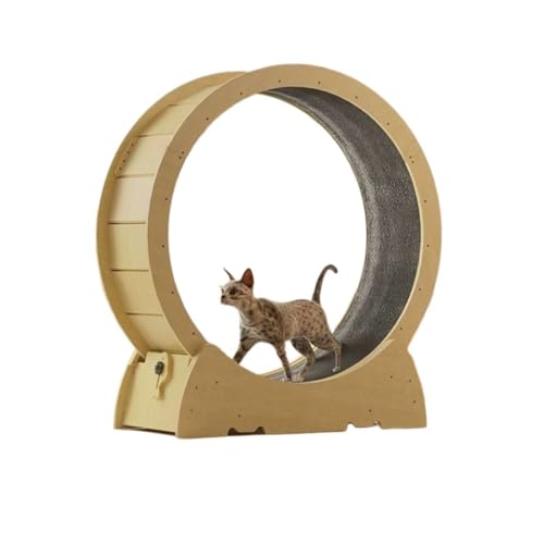 DTQBYOY Katzenlaufrad Laufband for Katzen, Katzenbett, Laufrolle for Katzen, geräuschloses Klettergerüst for Katzen, Fitnessspielzeug for Haustiere Cat Wheel(M) von DTQBYOY