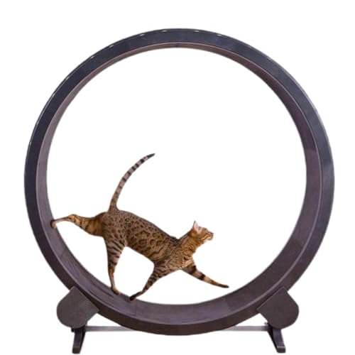 DTQBYOY Katzenlaufrad Laufband for Katzen, Laufrad for Katzen, Sport- und Fitness-Rad for Haustiere, leise kleine Katzenrolle, Katzenspielzeug Cat Wheel(B:118CM) von DTQBYOY