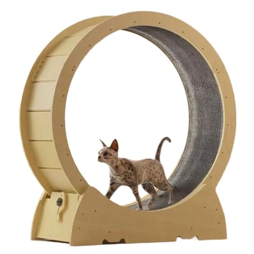 DTQBYOY Katzenlaufrad Laufband for Katzen, faserreiche Fitness-Rolle for Haustiere, Selbstinstallation, Massivholz, großes Haustierspielzeug for Zuhause und drinnen Cat Wheel(S) von DTQBYOY