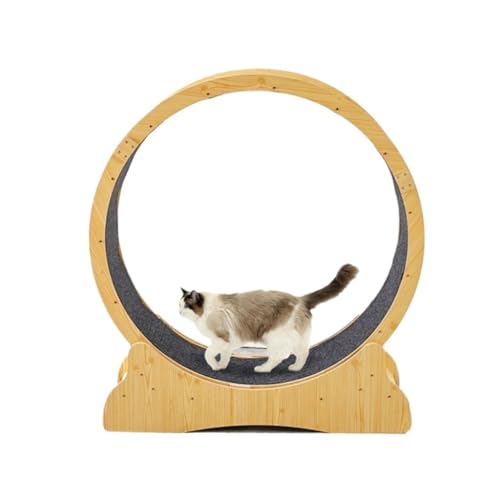 DTQBYOY Katzenlaufrad Laufband for Katzen, leise, Fitness-Roller, Plattenspieler, Klettergerüst, Laufrad, Haustierspielzeug for Zuhause und drinnen Cat Wheel(XL) von DTQBYOY