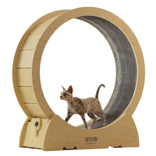 DTQBYOY Katzenlaufrad Laufband for Katzen, leises Katzenlaufrad, Massivholz, Sport, Fitness, Haustierrolle, Katzenspielzeug, Katzenklettergerüst Cat Wheel(L) von DTQBYOY