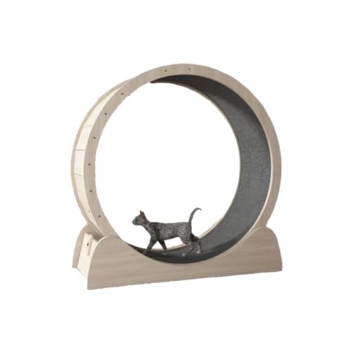 DTQBYOY Katzenlaufrad Laufband for Katzen, leises Rollen-Laufrad, Massivholz, Haustier-Fitness-Trainingsrad, Katzenspielzeug, Katzen-Klettergerüst Cat Wheel(M) von DTQBYOY