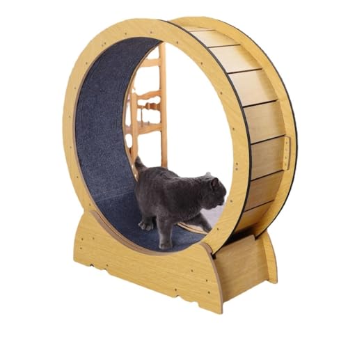 DTQBYOY Katzenlaufrad Laufband for Katzen mit leiser Rolle, Haustier-Hunde-Fitness, Katzen-Klettergerüst, Rollentyp, Massivholz, Katzen-Laufband Cat Wheel von DTQBYOY