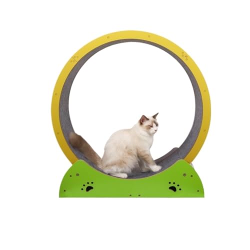 DTQBYOY Katzenrad Laufband for Katzen, Klettergerüst for Katzen, spezieller Platz for große Katzen, Fitness-Katzen-Sportgestell aus Holz, Haustierbedarf Laufrad Katzen von DTQBYOY