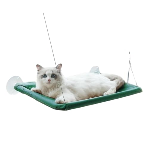 DTQBYOY Katzenspielzeug Katze Hängematte Fenster Katze Klettergerüst Balkon Hängen Saugnapf Hängen Nest Haustier Sonnenbaden Artefakt Katzenspielplatz(Green) von DTQBYOY