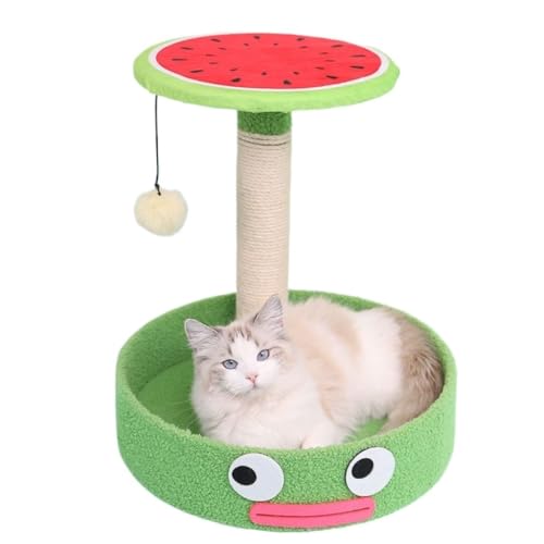 DTQBYOY Katzenspielzeug Kleine Katze Klettergerüst Nest Sisal Seil Katze Kratzbaum Klaue Schleifen Katze Spielzeug Massivholz Katze Plattform Katzenspielplatz von DTQBYOY