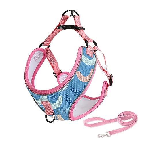 Atmungsaktives, Bequemes Hundegeschirr Und Leine-Set Für Den Außenbereich, Hundegeschirr Mit Bedrucktem Muster, Verstellbar, Kein Ziehen, Hundegeschirr Und Leine-Set Für Chihuahua, Mops,D,M Atmungsaktives, Bequemes Hundegeschirr Und Leine-Set Für Den Außenbereich, Hundegeschirr Mit Bedrucktem Muster, Verstellbar, Kein Ziehen, Hundegeschirr Und Leine-Set Für Chihuahua, Mops,D,M von DTREEL