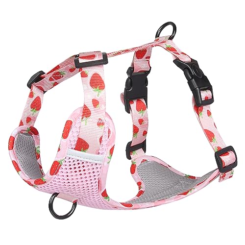 Atmungsaktives Mesh-Hundegeschirr Mit Fruchtdruck, Verstellbarer Brustgurt Für Hunde, Outdoor-Hundetraining, Camping, Jagd, Nylongeschirr Für Labrador, Bulldogge, Chihuahua,B,L Atmungsaktives Mesh-Hundegeschirr Mit Fruchtdruck, Verstellbarer Brustgurt Für Hunde, Outdoor-Hundetraining, Camping, Jagd, Nylongeschirr Für Labrador, Bulldogge, Chihuahua,B,L von DTREEL