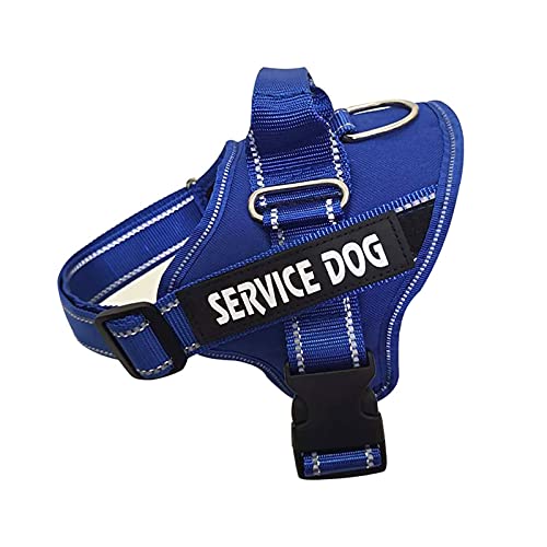 Benutzerdefinierte Militärische Taktische No Pull Nylon Hundegeschirr Personalisierte Reflektierende Haustier K9 Geschirr Outdoor Kleine Und Mittelgroße Hunde Atmungsaktive Mesh-Pad Hundeges Benutzerdefinierte Militärische Taktische No Pull Nylon Hundegeschirr Personalisierte Reflektierende Haustier K9 Geschirr Outdoor Kleine Und Mittelgroße Hunde Atmungsaktive Mesh-Pad Hundeges von DTREEL