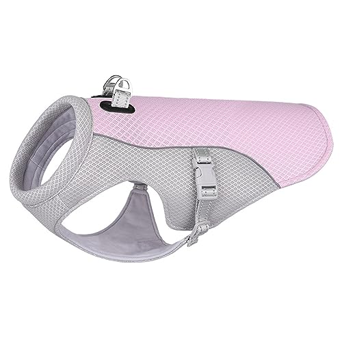 Sommer Cool Mesh Hundekleidung Coole Hundeweste Mittlere Und Kleine Hundebekleidung Outdoor-Haustier-Kühljacke Atmungsaktiv Großer Hundegurt,A,S Sommer Cool Mesh Hundekleidung Coole Hundeweste Mittlere Und Kleine Hundebekleidung Outdoor-Haustier-Kühljacke Atmungsaktiv Großer Hundegurt,A,S von DTREEL
