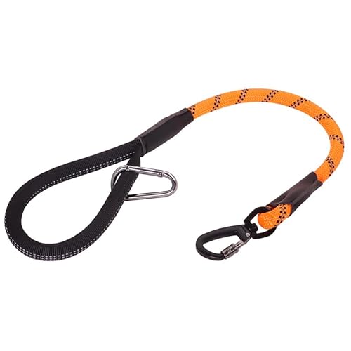 DTSFHTDAL Nylon-Hundeleine, Haustierkette, verstärkter Riegel, leuchtende Hundeleine, gepolsterter Griff, bequemes Seil für große und mittelgroße Hunde (kurze Hundeleine (orange)) von DTSFHTDAL