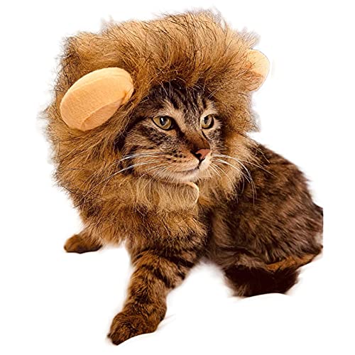 DUBENS Katze Löwe Kostüm Weihnachten Halloween Haustier Kopfbedeckung Party Cosplay Special Events Kleidung Lustige Katzenkleidung Kitty Kitten Kopfbedeckung von DUBENS