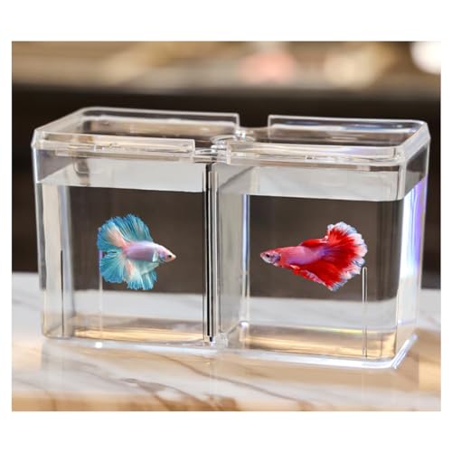 Kleines Aquarium,Starter Aquarium, Aquarium-Starter-Kits, quadratisches kleines Aquarium mit Doppelgitter und zwei Isolierplatten for Kampffische, Garnelen und Goldfische von DUBTEDHOU