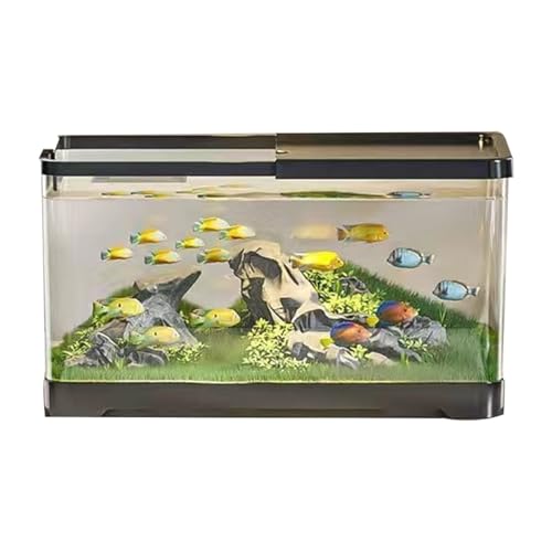 Kleines Aquarium,Starter Aquarium, Extra durchsichtiges Kunststoffgehäuse – Aquariumbehälter for Goldfische oder als Schildkrötenbehälter for Wasserschildkröten mit Abflussloch am Boden, groß von DUBTEDHOU