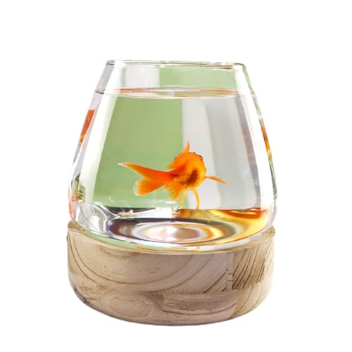 Kleines Aquarium,Starter Aquarium, Glasfischbehälter mit Holzsockel, Glas mit hoher Lichtdurchlässigkeit for klare Sicht, kleines Aquarium for Kampffische, Goldfische, Garnelen(17x19.5cm) von DUBTEDHOU