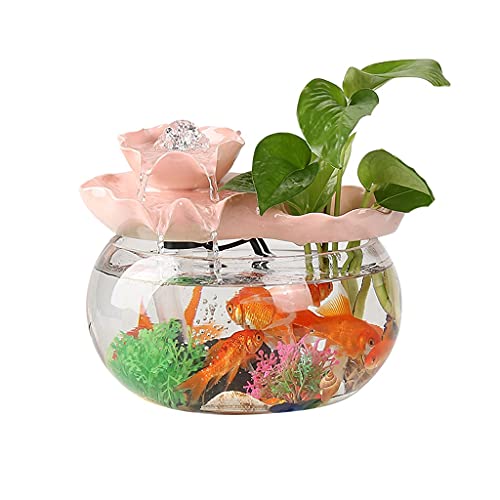 Kleines Aquarium,Starter Aquarium, Kreatives Zirkulierendes Wasser Aquarium Glasfenster Desktop Kleines Haushaltsgold Aquarium Landschaftsgestaltung Dekoration Ornamente Aquarium Tank(9.45IN) von DUBTEDHOU