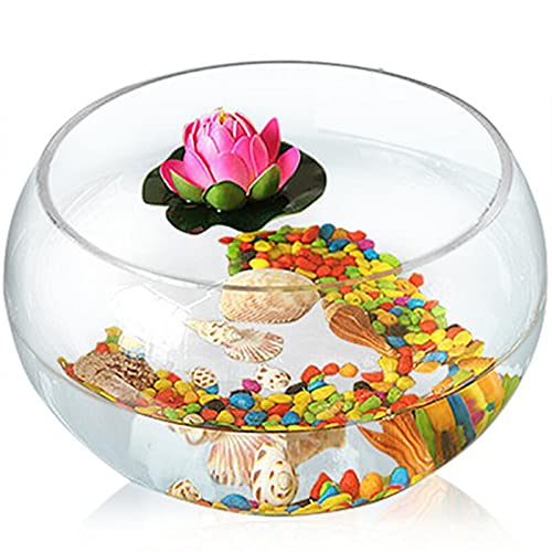 Kleines Aquarium,Starter Aquarium, Runder Zylinder, runder Goldfischbehälter, ökologische Kreativität, Glasfischbehälter, großer Schildkrötenbehälter, Hydrokulturbehälter, Vase, Aquariumbehälter(30CM) von DUBTEDHOU