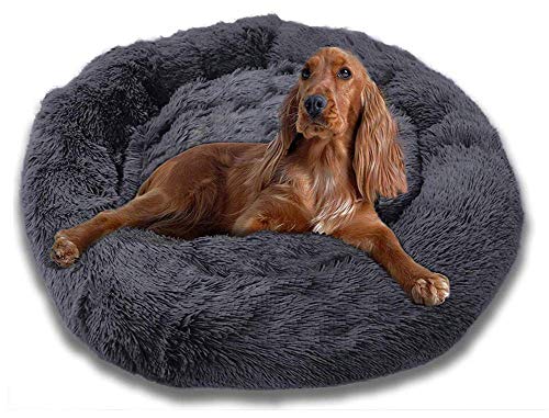 DUCHEN Donutkörbe für Hunde, Komfort Hundebett, weiches warmes Plüschbett für große Hunde und waschbares Kissen,dunkelgrau,M-60CM von DUCHEN