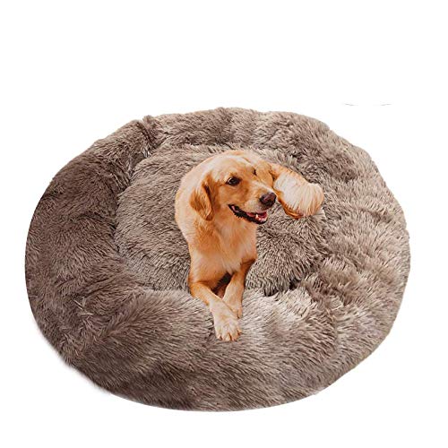 DUCHEN Haustierbett, Hundebett, Katzenhöhle, Hundesofa, Orthopädisches Bett für Kleiner, mittlerer, großer Hund,Haustiere in Doughnut-Form von DUCHEN