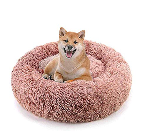 DUCHEN Haustierbett, Hundebett, Katzenhöhle, Hundesofa, Orthopädisches Bett für Kleiner, mittlerer, großer Hund,Haustiere in Doughnut-Form von DUCHEN