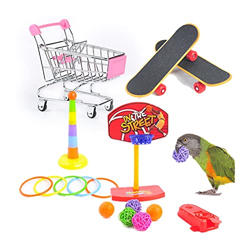 DUNSBY Vogelspielzeug 1 Satz des Trainings pet Vogel Spielzeug Set interaktives Papageiausrüstung Set lustige Vogelaktivität Papageispielzeug Haustier Vogel Basketball Skateboard Papageienspielzeug von DUNSBY