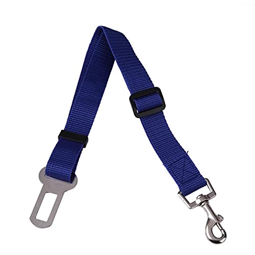 Hunde Sicherheitsgurt für Auto 2 stücke Hundeleine gerollt Verstellbare Hunde Auto Sitzgurt Harness Welpen Katzen Auto Sicherheitsgurt Blei Traktionsseil Haustiere liefert (Color : Blue) von DUNSBY