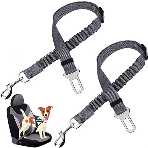 Hunde Sicherheitsgurt für Auto Haustier Autositz Gürtel Hundeleine Fahrzeuggürtel Einstellbare Dämpfung Elastisches reflektierendes Safety Seil for Hundekatze (Color : Grey) von DUNSBY