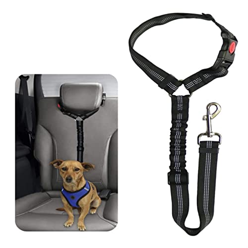 Hunde Sicherheitsgurt für Auto Haustier liefert Autositz Gürtel Hundegurt Sicherheitsgurt Hundeleine Fahrzeuggürtel Einstellbare Dämpfung Elastisches reflektierendes Sicherheitsseil (Color : Black) von DUNSBY