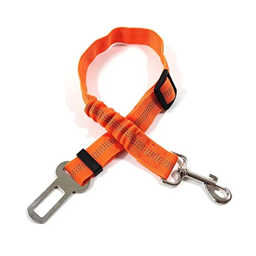 Hunde Sicherheitsgurt für Auto Haustier liefert Autositz Gürtel Hundesitz Gürtel Hundeleine Fahrzeuggürtel Verstellbare Dämpfung Elastisches reflektierendes Sicherheitsseil for Hundekatze (Color : 8 von DUNSBY