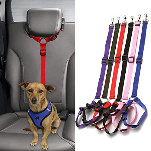 Hunde Sicherheitsgurt für Auto Hundeauto Sicherheitsgurt Elastische Reflektierende Sicherheitsseil Haustiergurt Sicherheitsgurteleine for Katzen Fahrzeugsicherheit Nylon-Leine Reiseclip (Color : A-Bl von DUNSBY