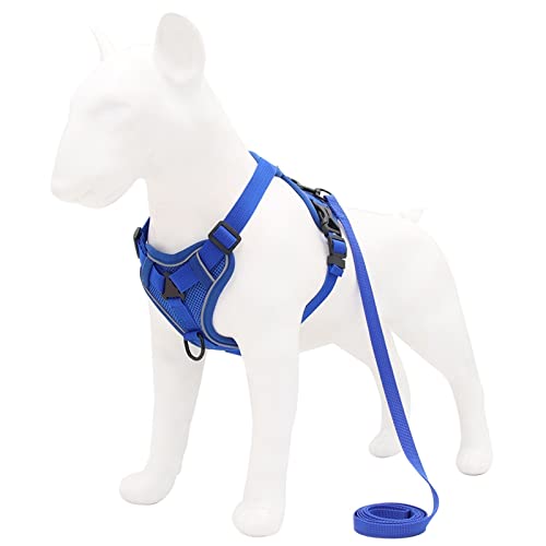 Hundegeschirr Hundegeschirr mit 1,5 m Traktionsleine, ohne Zug, Hundeweste, verstellbar, reflektierend, atmungsaktiv, for Hunde, Welpen und Katzen (Color : Blue, Size : S) von DUNSBY