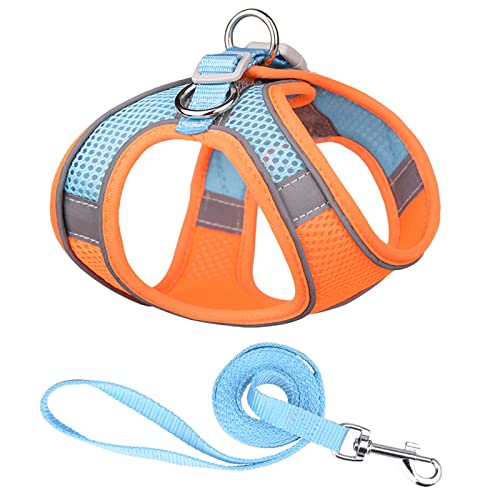 Hundegeschirr Reflektierendes Hundegeschirr mit Leine, verstellbares Nylon-Geschirr, atmungsaktive Halsbänder for Chihuahua, kleine und große Hunde (Color : 2-Orange Blue, Size : XS) von DUNSBY