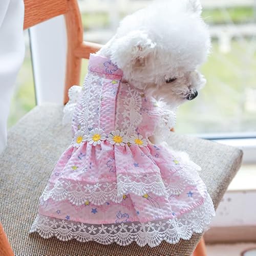 Hundekleidung Hundekleidung Mädchen Hundekleider Spitzenrand Sommer Frühling Tutu Rock for Kätzchen süße rosa Prinzessin Katze Haustierkleidung (Color : Pink, Size : XS) von DUNSBY