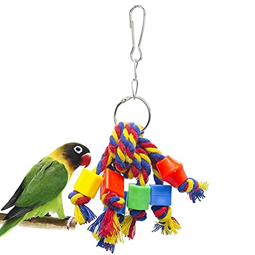 Vogelspielzeug Vogel Kauier Spielzeug Lustige Baumwolle Seil Papageispielzeug Bissbeständiger Vogel Reißen Spielzeug Cockatiels Sittichtraining Spielzeug Vogel Zubehör Papageienspielzeug (Color : B) von DUNSBY